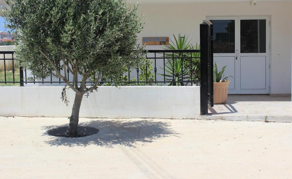 Galatia'S Court Lägenhet Paphos Exteriör bild